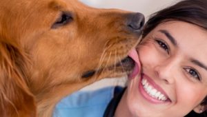 medicinaveterinarianomsoquesaberantesdovestibular