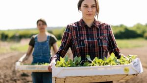 oportunidades de agropecuária no brasil