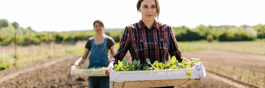 oportunidades de agropecuária no brasil