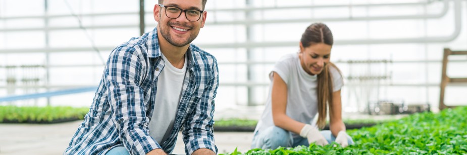 homem e mulher felizes trabalhando com agricultura em campo grande
