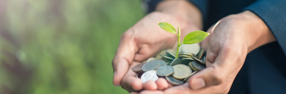 mão com moedas e planta representando negócios sustentáveis