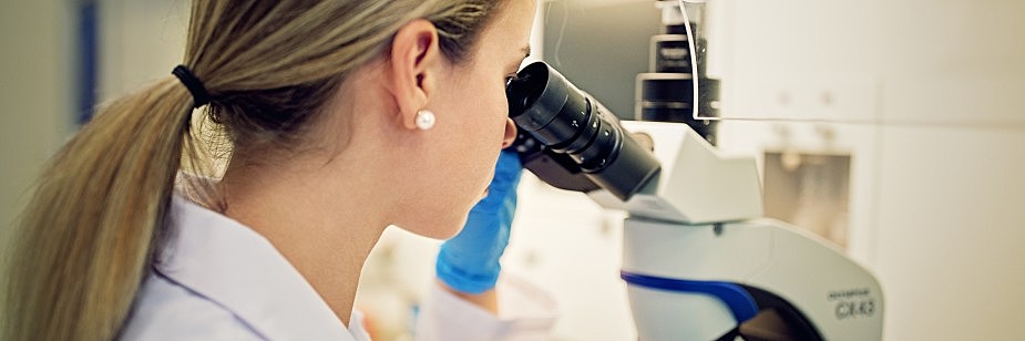 estudante de biomedicina em campo grande