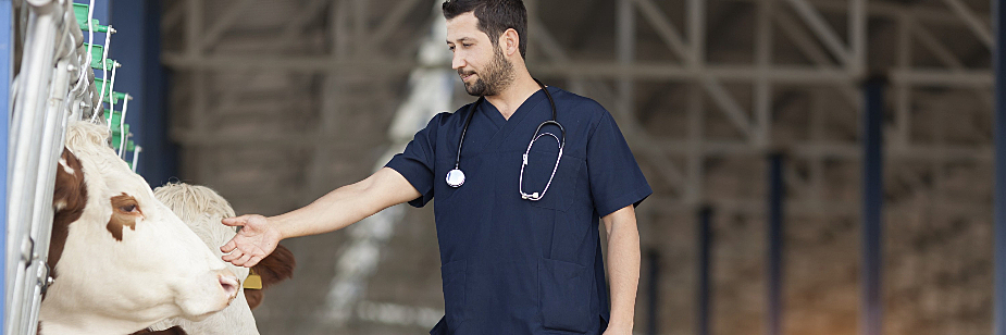 faculdade de medicina veterinária em campo grande