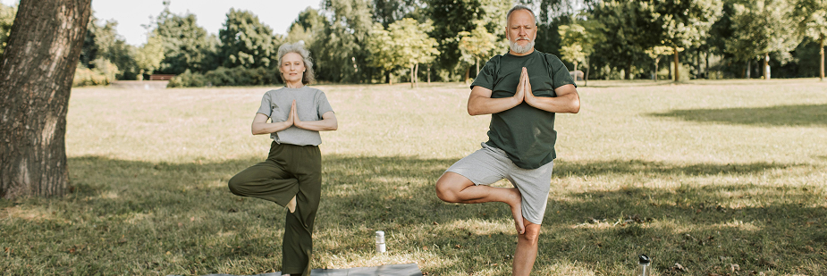 medicina ayurvédica